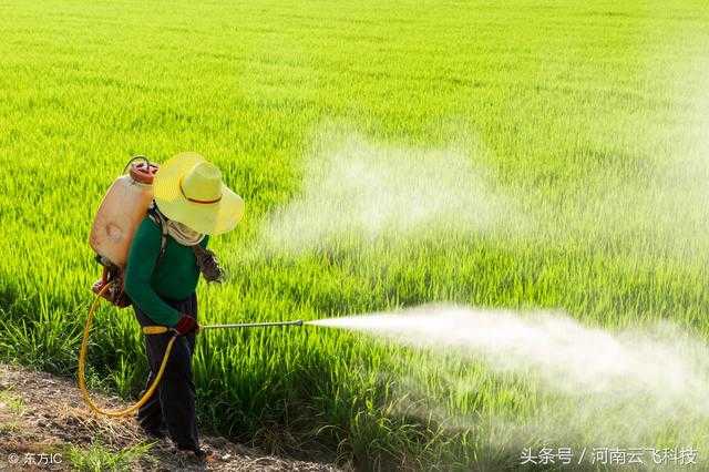 Lămpile solare insecticide și pesticidele unul împotriva celuilalt, cine este mai bun?